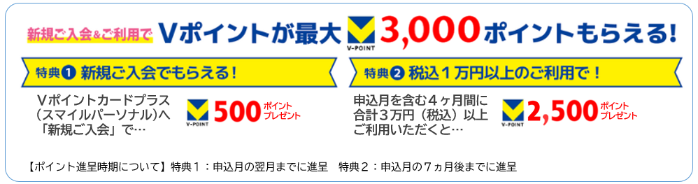 Vポイントが最大3,300ポイントもらえる!