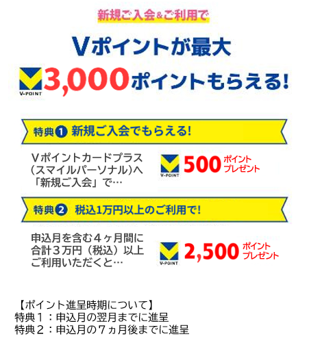 Vポイントが最大3,300ポイントもらえる!